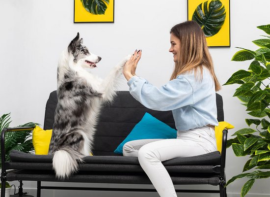 Hobbies make you happy