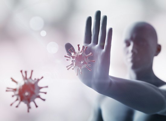 Wie funktioniert unser Immunsystem?