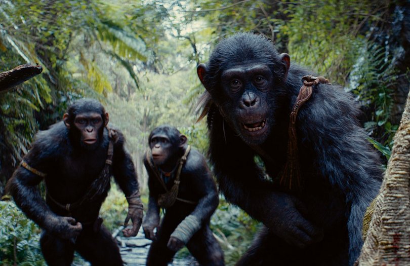 Filmtipp: Planet der Affen