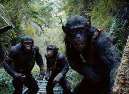 Filmtipp: Planet der Affen